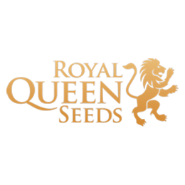 royal-queen-seeds